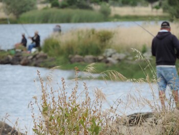 apartamentos barbancho