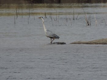 apartamentos barbancho