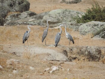 apartamentos barbancho