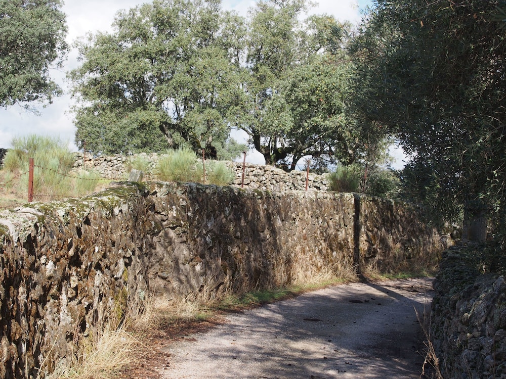 apartamentos barbancho