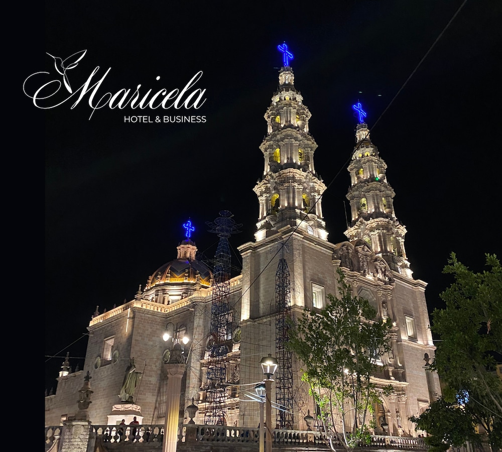 san juan de los lagos