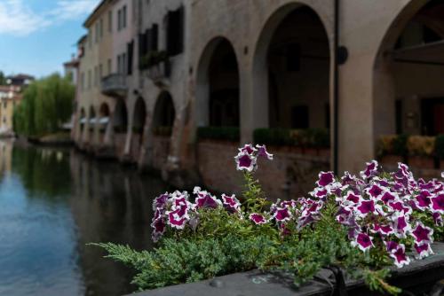 treviso