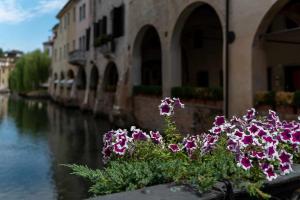 treviso