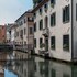 treviso