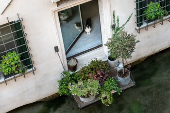 treviso