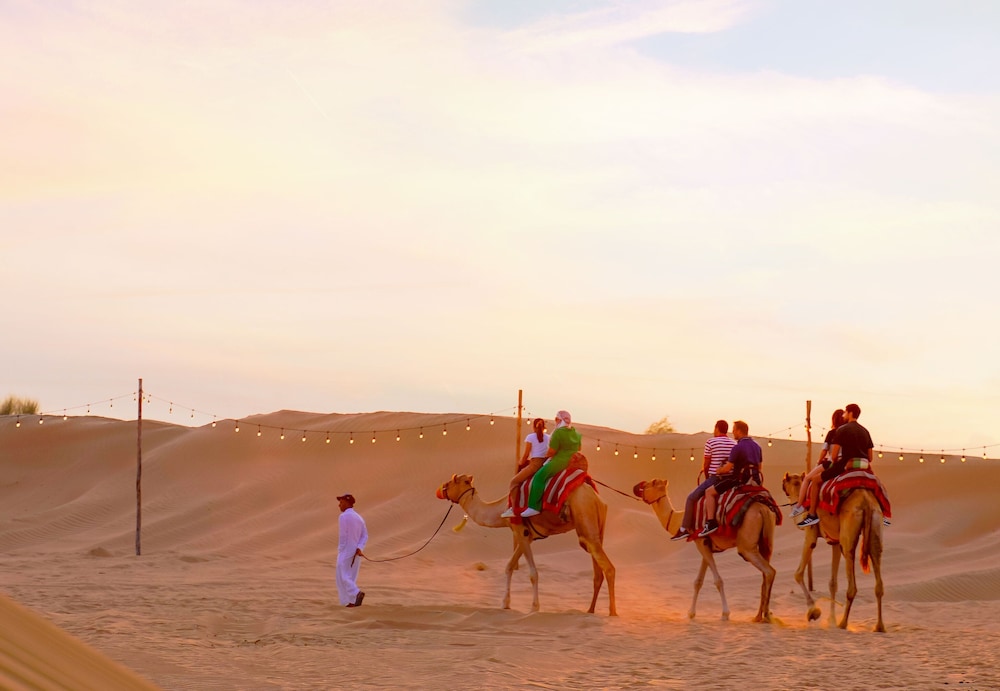 al khayma camp elite camping and dining in experience