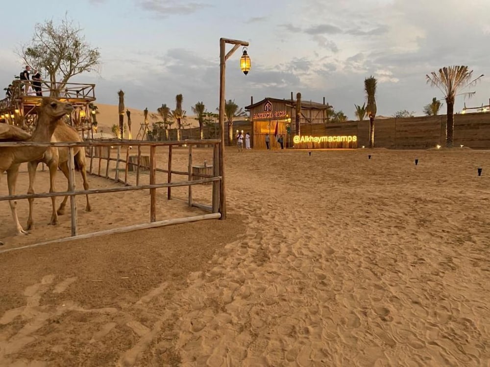 al khayma camp elite camping and dining in experience