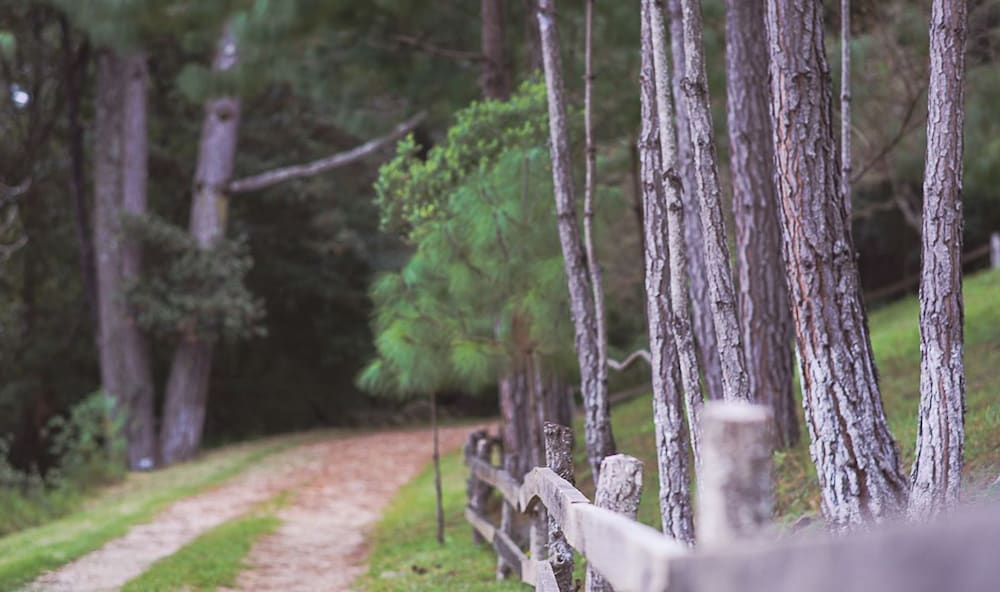 san cristobal de las casas