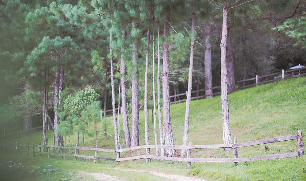 san cristobal de las casas