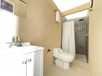 colmena centro
