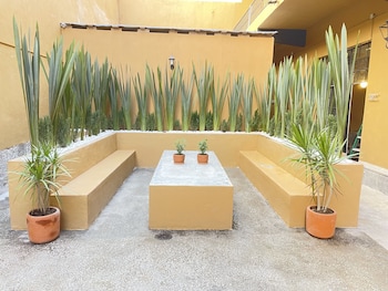 colmena centro