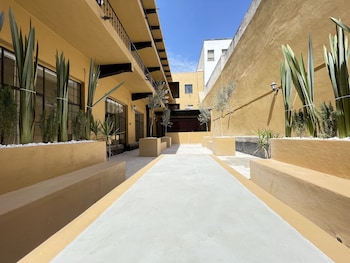 colmena centro