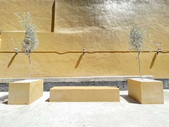 colmena centro