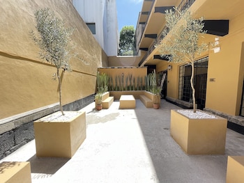 colmena centro