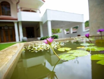 clove villa