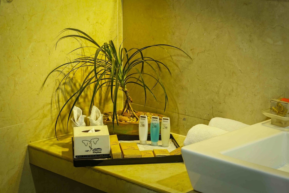 elephas resort and spa