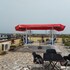 royal blue guest house bar