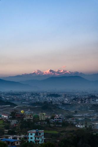 purnas museum resort