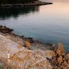 fontana bayside park