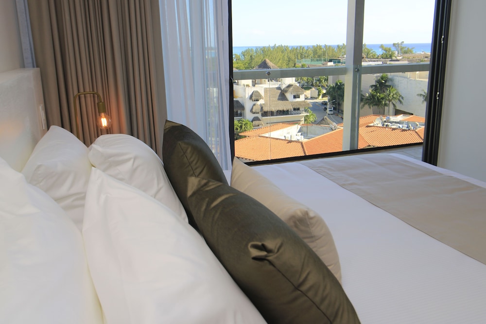 singular dream vacation rentals