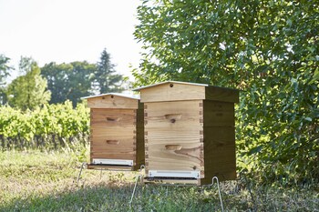 chateau bonalgue pomerol