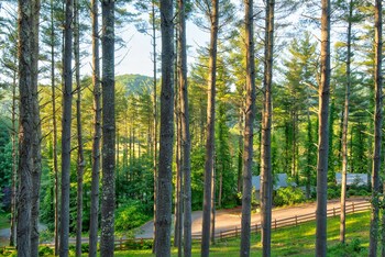 heritage hill cabins