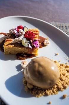 palmares signature apartments