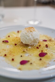 palmares signature apartments