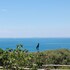 villa puolo with private sea access