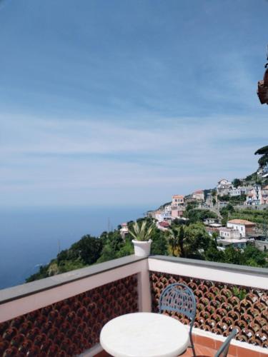 la vigna di bacco