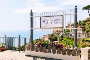 la vigna di bacco