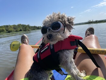 kayak starved rock campground