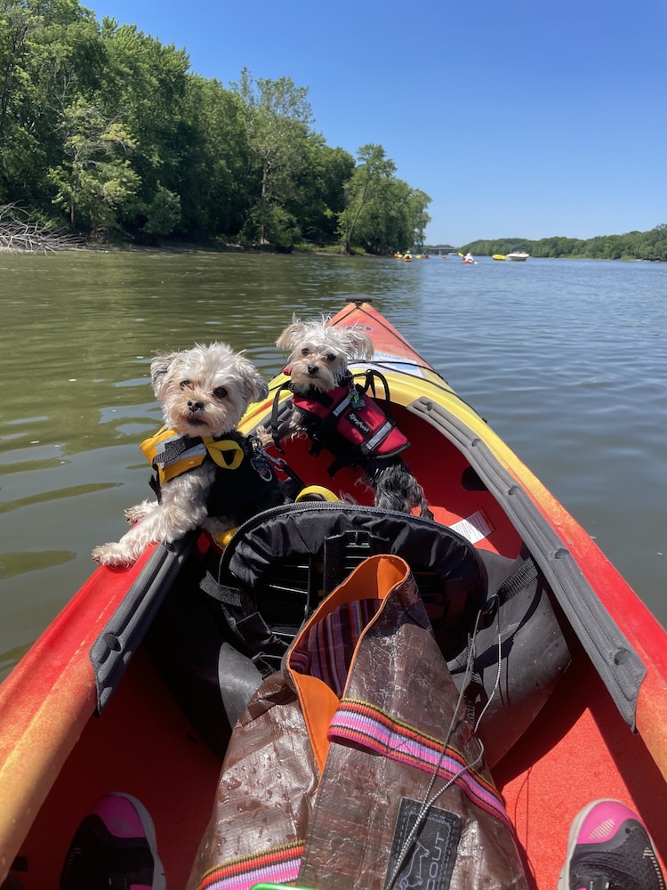 kayak starved rock campground