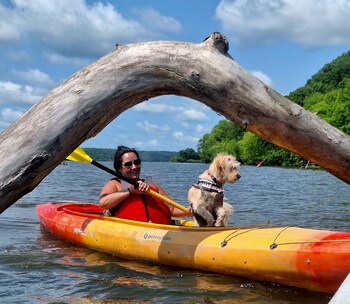 kayak starved rock campground