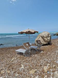 tendu punta bianca glamping camp