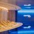 hotel linea mare