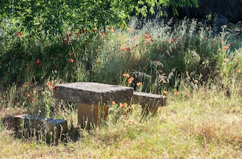 soko hotels pont du gard