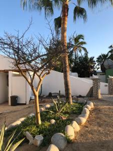 La Ventana Beach Resort,La Paz>>El Sargento,3 star