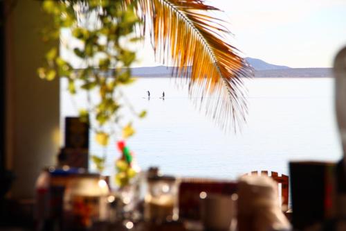 la ventana beach resort