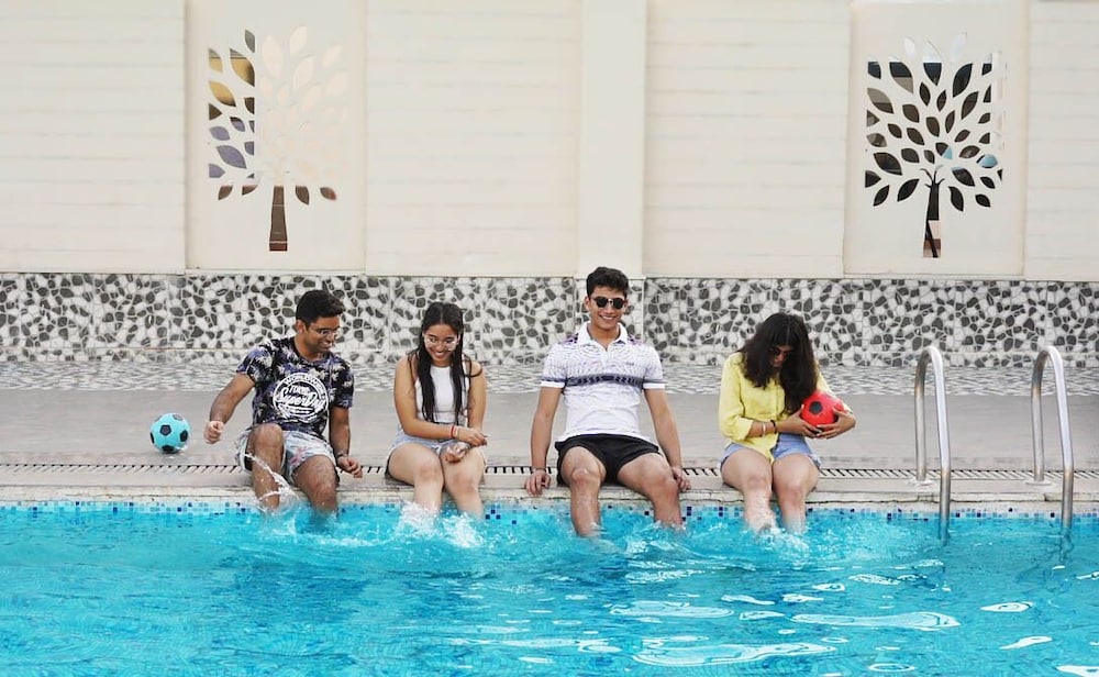 treehouse sunrise resort and caravan park