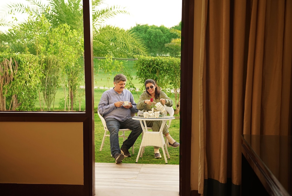 treehouse sunrise resort and caravan park