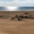 roccaseta dimore siciliane