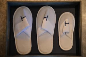 homm huzhou xisai shan