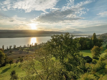 aparthotel beinwil am see