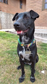 pousada groms village