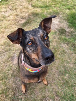 pousada groms village