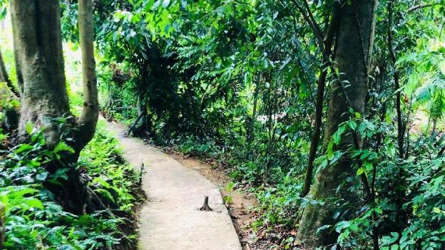 ceylon nature hostel kitulgala