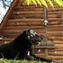 wasikuna cabanas rurales tipo glamping