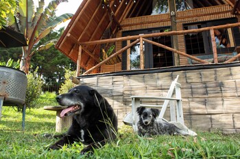 wasikuna cabanas rurales tipo glamping