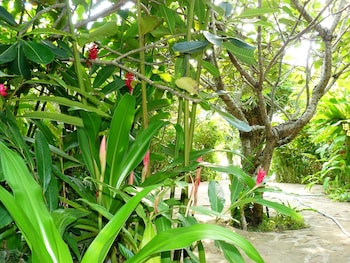 Hotel-Img